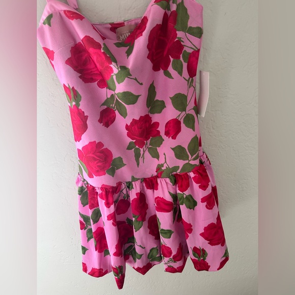 Show Me Your MuMu Pink Rose Print Mini Dress - Picture 10 of 10